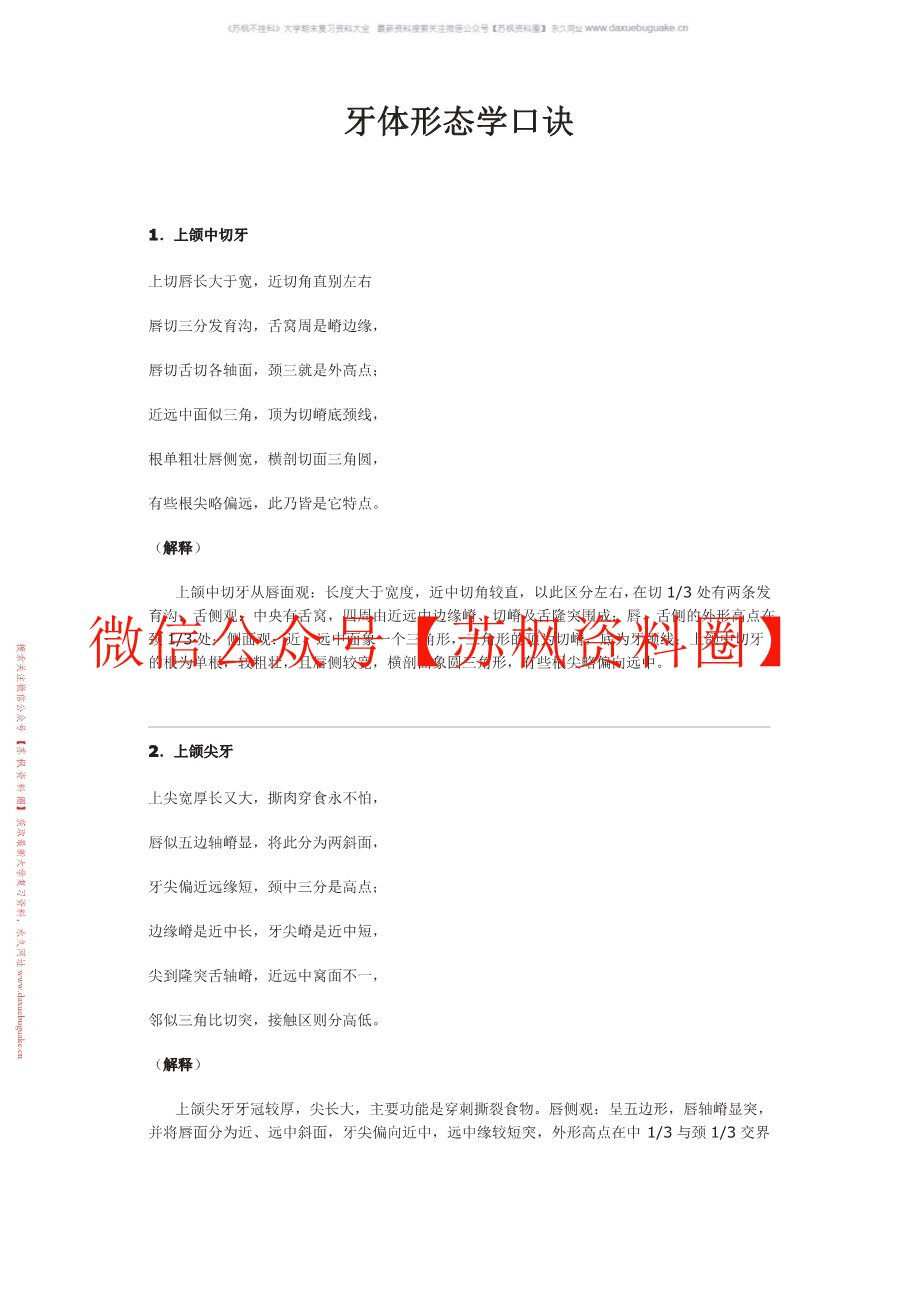 牙体形态学